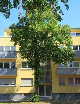 Freie City-Wohnung in Obersendling - vielseitig nutzbar - München