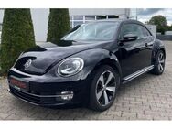 VW Beetle 1.4 TSI Sport 1.Hand / Xenon / Fender - Warstein