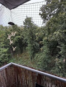 Freiwerdende, bislang gut vermietete 2-Zimmer-Eigentumswohnung in Fürth! Frei zum 31.12.2025! - Fürth