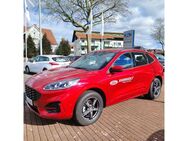 Ford Kuga 2.5 Duratec PHEV ST-LINE - Paderborn