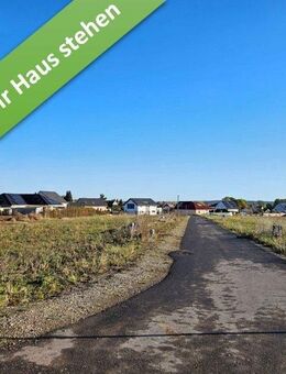 Mit Grundstück, ein Bungalow, der begeistert in Räbke. - Räbke