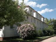 Single-Wohnung in ruhiger, grüner Wohnlage von Dresden-Leuben - Dresden