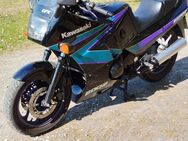 Kawasaki GPX 600 R - Halver