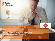 Senior Payroll Manager / Leitung Lohnbuchhaltung (m/w/d) - Ludwigshafen (Rhein)