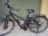 E-Bike Kalkhoff Pedellec, Impulse Evo Riemen E-Bike - Essen