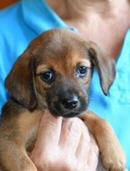 Lia wünscht sich eigene Familie - Neuss