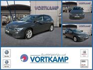 VW Golf VIII Lim. Life ACC/LED/AppConnect - Gronau (Westfalen) Zentrum