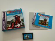 Game Boy Advance Pferd und Pondy Lass und reiten - Barntrup