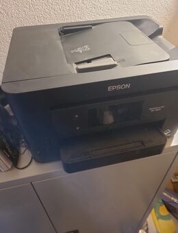 Drucker von Epson - Weingarten