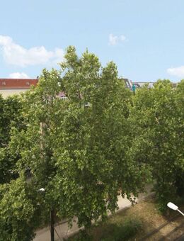 Im Herzen von Friedrichshain - Moderne & helle 2-Zimmer-Wohnung in zentraler Lage! - Berlin