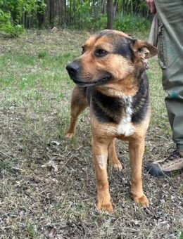 Mancs sucht sein Glück - Nordwalde