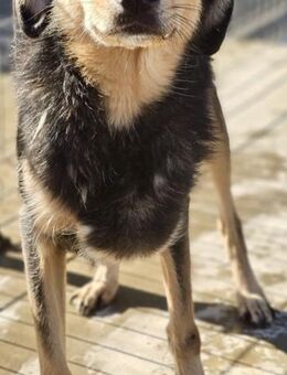 NETTY - glücklich und sozial - Weilheim (Oberbayern)