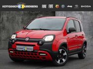 Fiat Panda 1.2 8V City Cross - Altenkirchen (Westerwald)