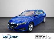 Skoda Octavia, 2.0 TDI Combi Style, Jahr 2023 - Mainz