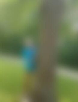 Gli*** - Roetgen (Tor zur Eifel)