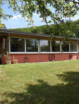Ihr kleines Paradies: Kompakter Bungalow auf idyllischem Grundstück - Weilrod