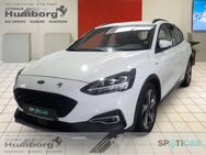 Ford Focus, Active X Mild-Hybrid, Jahr 2020 - Bad Driburg