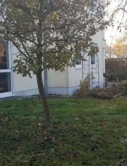 Lichtdurchflutete Wohnung mit eigenem Garten, vermietete Kapitalanlage - Falkensee