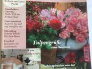 Wohnen & Garten   Ausgabe    April  2003 - Gladbeck