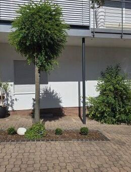 WOCHENENDHEIMFAHRER, 2-Zimmer-Appartement in 97711 Weichtungen bei Bad Neustadt zwischen Bad Kissingen und Schweinfurt (ID 1393) - Maßbach