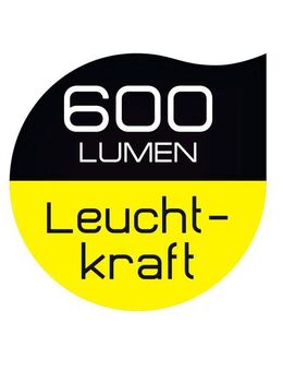 MediaShop LED Solarleuchte für Außen Panta TrioSolar Outdoor, Bewegungsmelder, Tageslichtsensor, LED fest integriert, Dreifach Solar-Power für mehr Sicherheit
