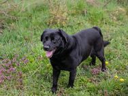 MADDOX - ein Forscher und Entdecker - Overath