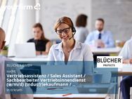 Vertriebsassistenz / Sales Assistant / Sachbearbeiter Vertriebsinnendienst (w/m/d) (Industriekaufmann / Industriekauffrau, Kaufmann / Kauffrau im Groß- und Außenhandel o. ä.) in Vollzeit - Erkrath (Fundort des Neanderthalers)