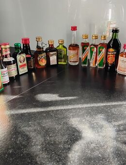 Spirituosen Alkoholika 20 versch. Kleinflaschen Boonekamp Jägermeister Kümmerling usw. - Leopoldshöhe