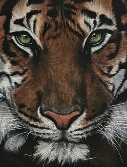 Kunsthandel Gennep - "Das Auge Des Tigers" - Kleve Zentrum