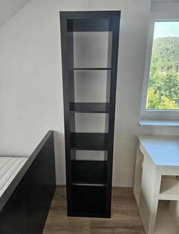 2 x IKEA Expedit Kallax Regal Raumteiler schwarz braun Expedit Rarität! TOP Zustand! - Sundern (Sauerland) Zentrum