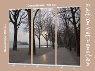 Bestatterbedarf, Dekoration: Roll-Up Display-Set "Tagore-Promenade" - 300 x 200 cm - für Bestattung, Trauerhalle, Bestatter - Wilhelmshaven Zentrum