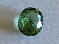 Paraiba Turmalin 3.15 ct. Edelstein inkl. Zertifikat aus meiner Sammlung z.B. für Schmuck - Nürnberg Zentrum