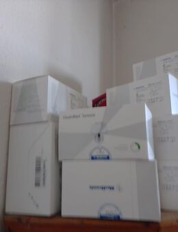 medtronic guardian 4 einzelner sensor - Frechen