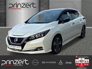 Nissan Leaf, "N-Connecta" Winter&ProPilotPaket Ambiente LM, Jahr 2021 - Rödermark