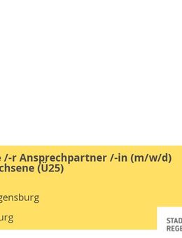 Persönliche /-r Ansprechpartner /-in (m/w/d) SGB II Erwachsene (Ü25) - Regensburg
