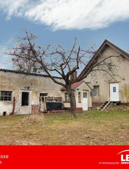 Neubeginn im Grünen... - Falkenberg (Brandenburg)