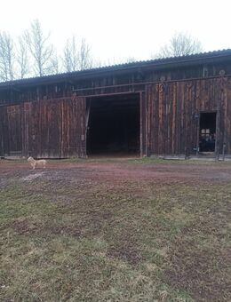 Maschinenschuppen /Lagergebäude/Stellplätze in Sontra zu vermieten - Sontra