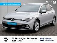 VW Golf, 1.0 VIII eTSI Life WWV, Jahr 2023 - Koblenz