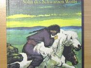 Abenteuerbuch Spannend Erzählt "Tenggeri Sohn des Schwarzen Wolfes" DDR - Naumburg (Saale) Janisroda