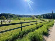 Pferdeparadies im Grünen - Idyllisches Anwesen nahe Regensburg. - Wald (Regierungsbezirk Oberpfalz)