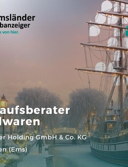 Verkaufsberater Spielwaren (m/w/d) - Lingen (Ems)