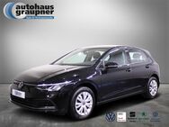 VW Golf, 2.0 TDI VIII Life, Jahr 2024 - Brandis