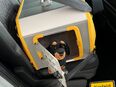 Kleinmetall Hundebox Care2 Gelb*Borgmann* in 47803