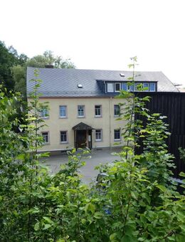 Helle 2-Zimmer-Erdgeschosswohnung in Mühlbach bei Frankenberg (Sachs) - Frankenberg (Sachsen)
