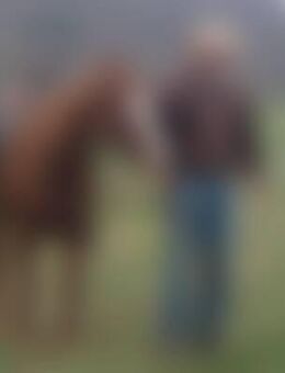 Wes*** - Witzenhausen