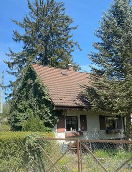 Haus mit Potenzial und großem Grundstück - Pforzheim