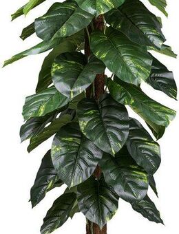 Künstliche Zimmerpflanze Philodendron Scandens Grünpflanze, Creativ green, Höhe 150 cm, mit Kokosfasern am Stamm