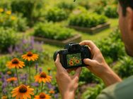 Wir bieten Gartenpflege und Gartenarbeit an - Apen