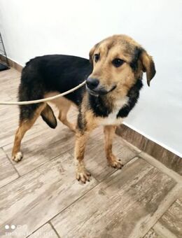 NAYLA ❤ EILIG! - Langenhagen