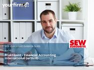 Praktikant - Financial Accounting International (w/m/d) - Bruchsal